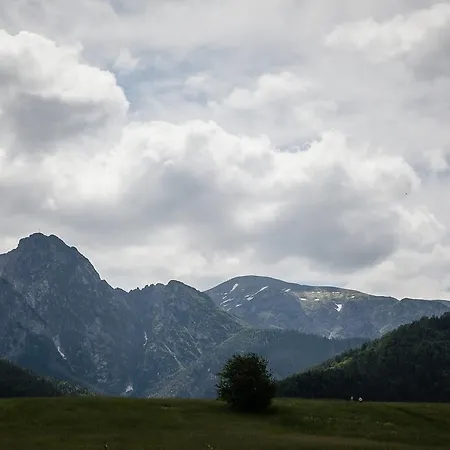 Willa Rawa * Zakopane